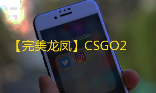 【完美龙凤】CSGO2-辅助