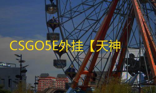 CSGO5E外挂【天神/单板透视/仅支持5E/过玄武磐石】辅助