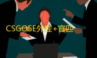 CSGO5E外挂+官匹【永恒/透饰/梓喵/仅支持5E和官匹平台】辅助